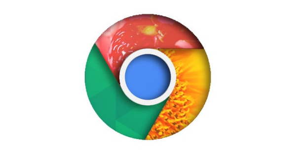Chrome浏览器提示不支持的文件类型怎么处理