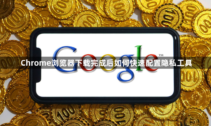 Chrome浏览器下载完成后如何快速配置隐私工具1