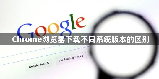Chrome浏览器下载不同系统版本的区别1