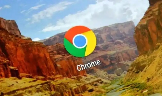 谷歌Chrome浏览器便携版快速获取与安装操作方法