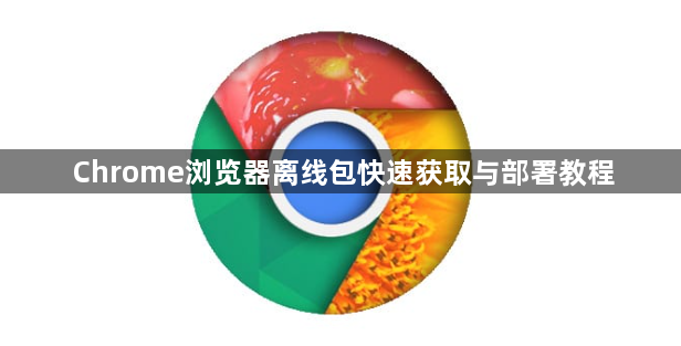 Chrome浏览器离线包快速获取与部署教程1