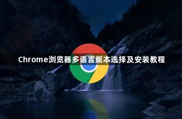 Chrome浏览器多语言版本选择及安装教程1