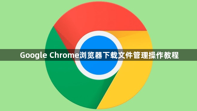 Google Chrome浏览器下载文件管理操作教程1