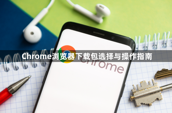 Chrome浏览器下载包选择与操作指南1