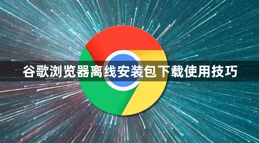 谷歌浏览器离线安装包下载使用技巧1
