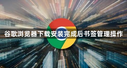 谷歌浏览器下载安装完成后书签管理操作1