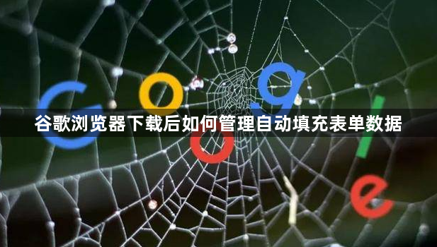 谷歌浏览器下载后如何管理自动填充表单数据1