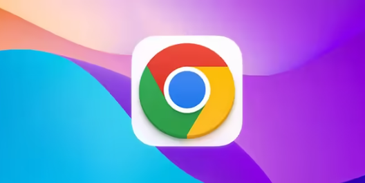 Chrome浏览器下载后设置浏览器启动项优化性能