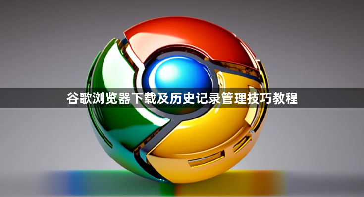 谷歌浏览器下载及历史记录管理技巧教程1