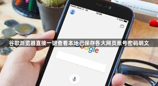 谷歌浏览器直接一键查看本地已保存各大网页账号密码明文1