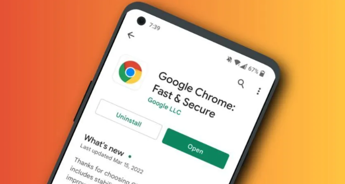 Google Chrome浏览器下载管理操作方法创新
